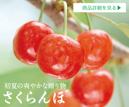 さくらんぼ